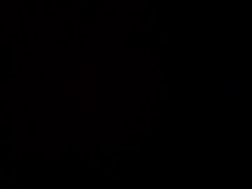 damian_n_lissa