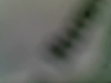 sunr1sa