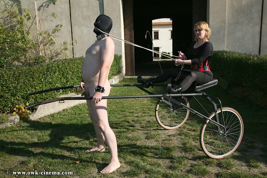 Outdoor CFNM Femdom — 20